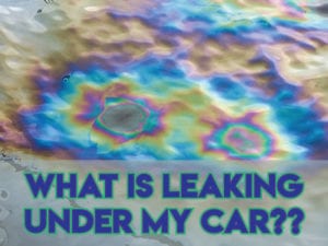 Leaks under car